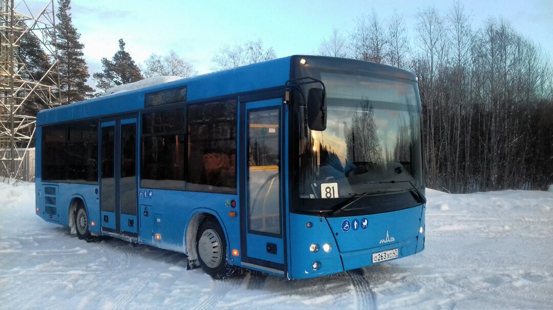 Видеонаблюдение на траспорте