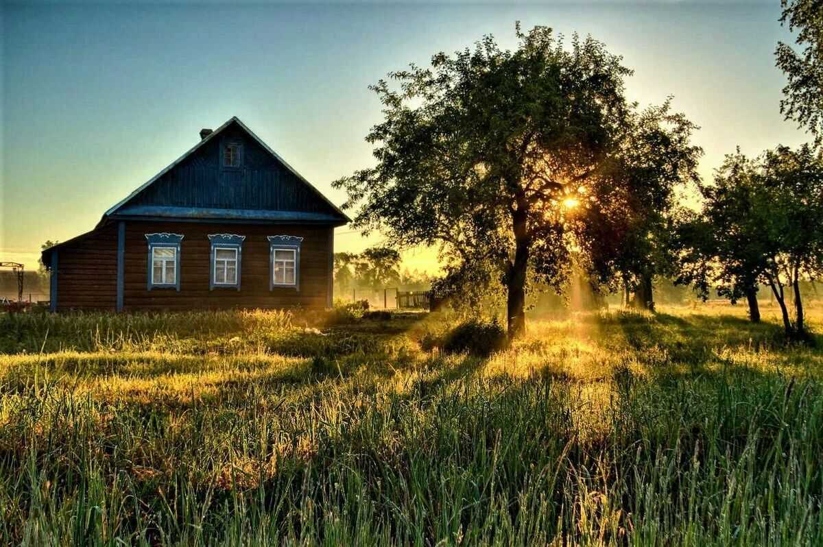 Пермакультура на балконе и на садовом участке