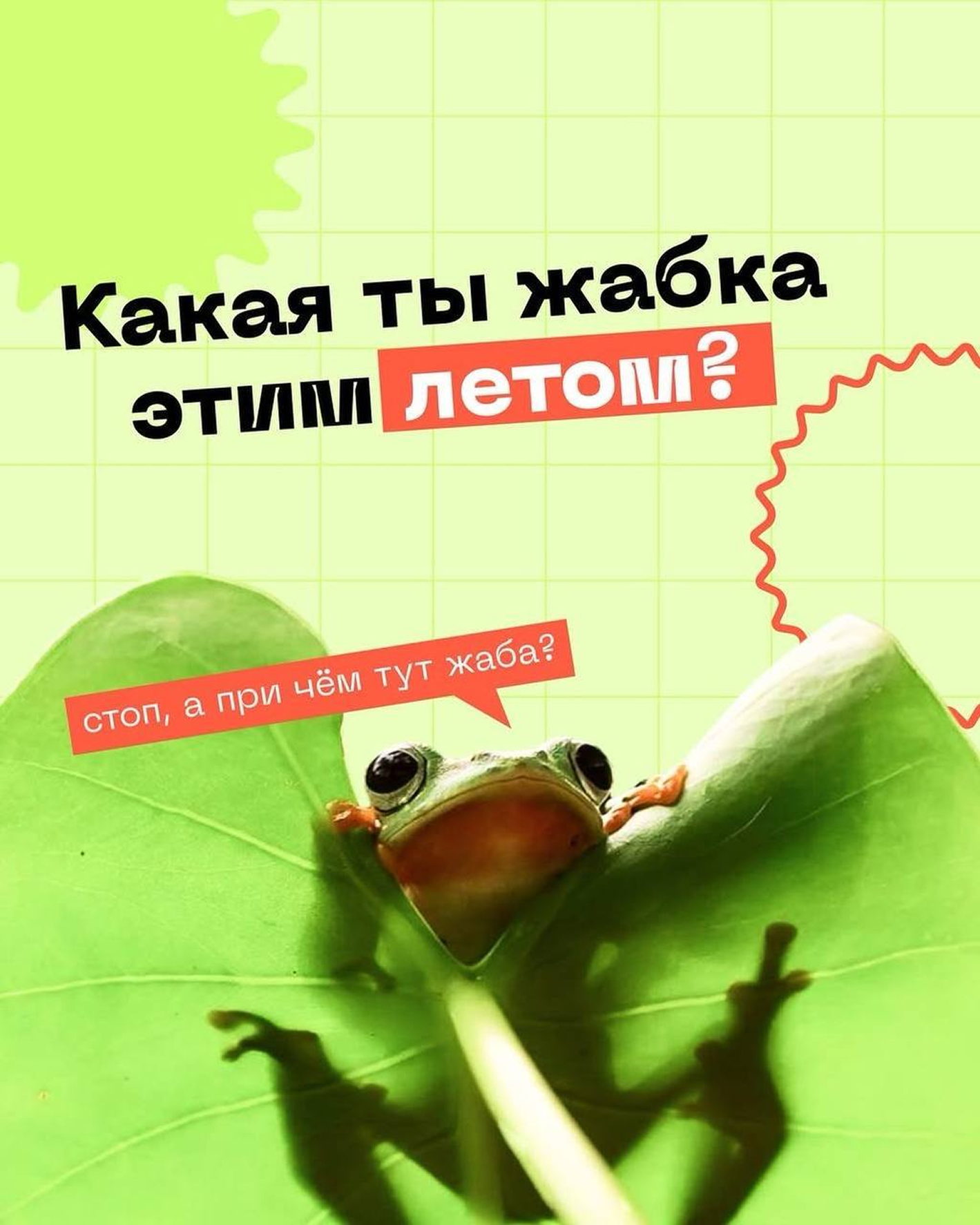 Серия с маскотом: обложка «Какая ты жабка этим летом?» и карточка с фестивалем ВкусВилла 3–4 августа в «Коломенском».