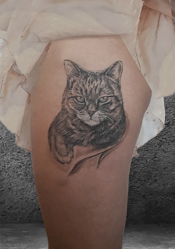 татуировка в Перми, кошка тату, тату реализм Пермь, тату салоны Пермь, цветные тату Пермь, сделать тату в Перми, лучшие тату мастера Перми, тату салон Пермь цены