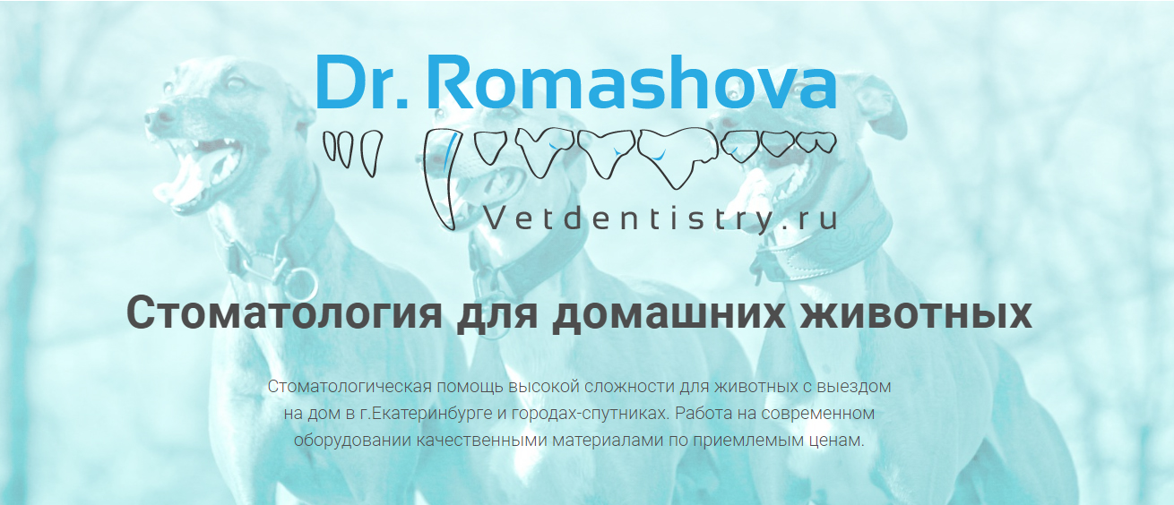 Стоматология в ветеринарии презентация