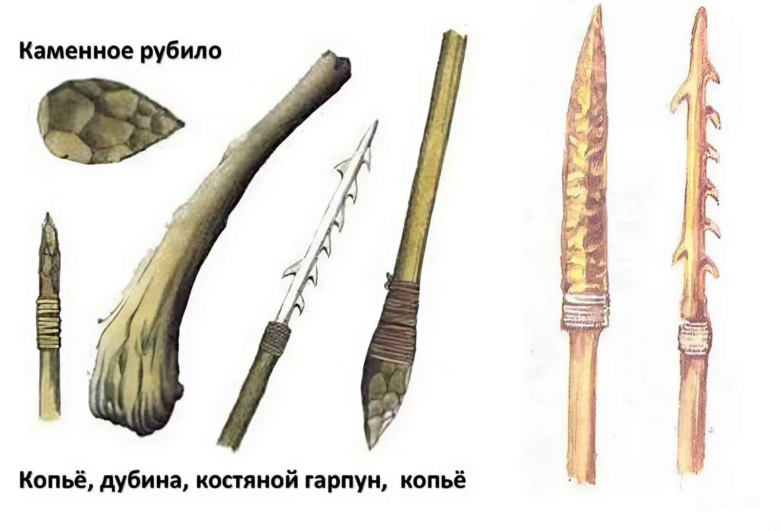 Древние орудия труда из камня, кости и дерева