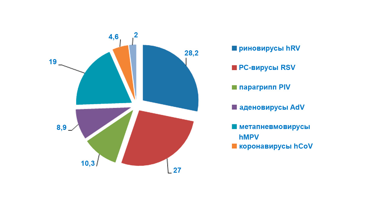Структура возбудителей ОРВИ в эпидемический сезон 2017-2019 гг.