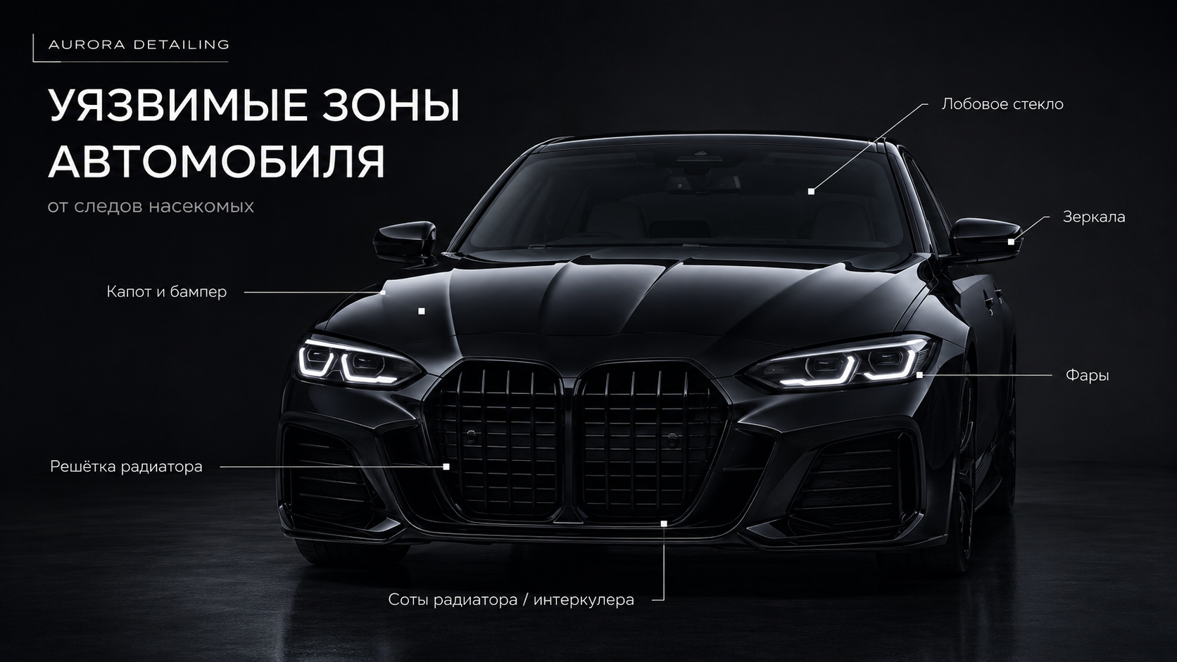Узявимые зоны автомобиля от насекомых