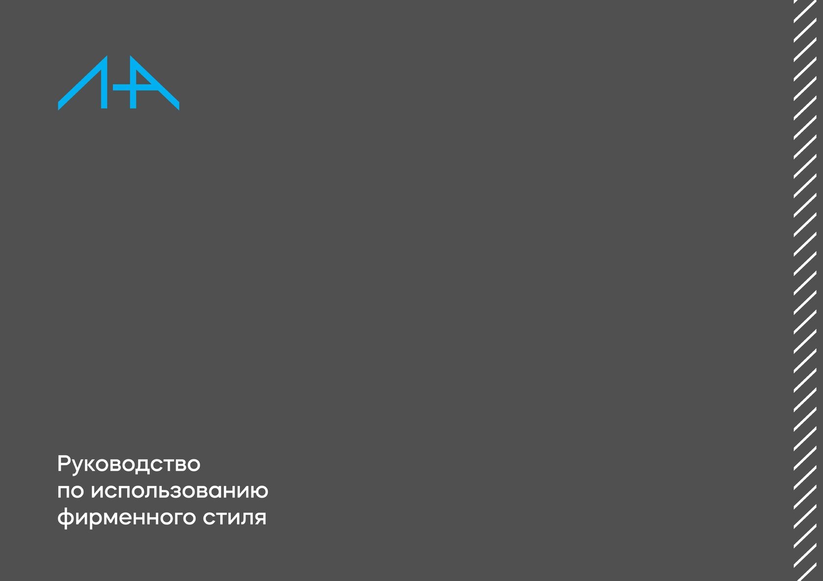 Мультибрендовый автодилер - брендбук