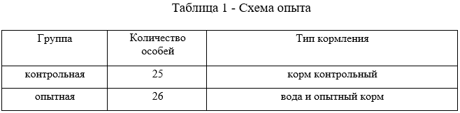 Схема опыта