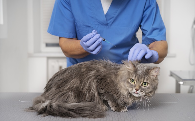 Уколы для животных