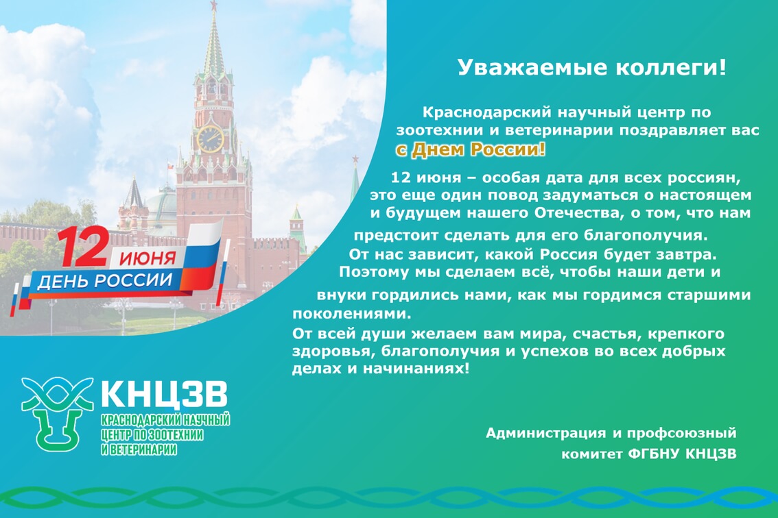 День России поздравление
