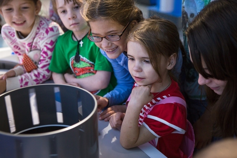 Интерактивный экспонат "Зоотроп"