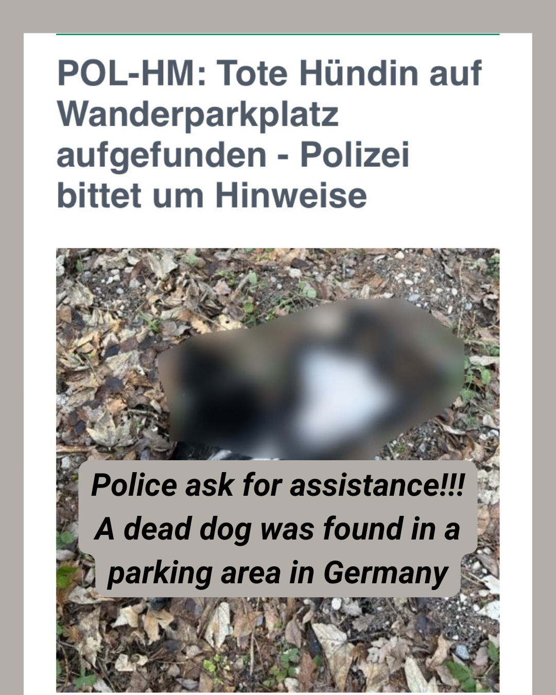On January 19, 2026, in Germany, a dead dog was found