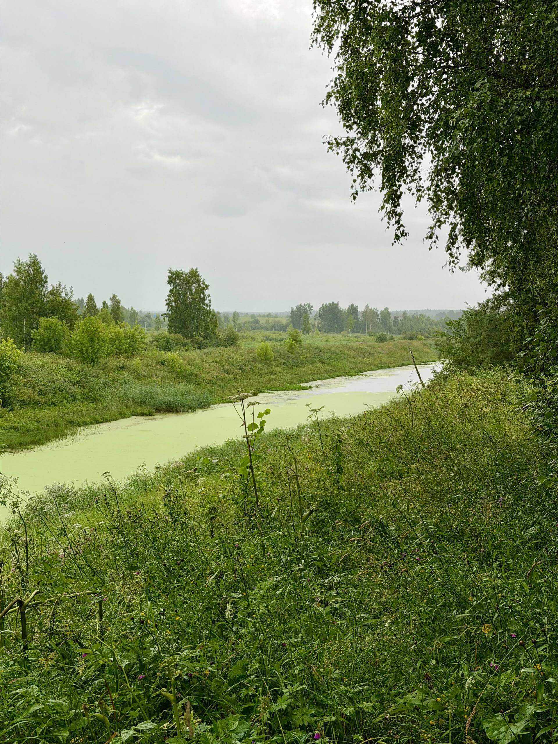 Екатерининский канал