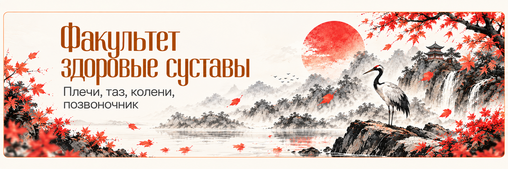 Факультет «Здоровые суставы»