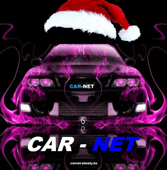  CAR -NET
