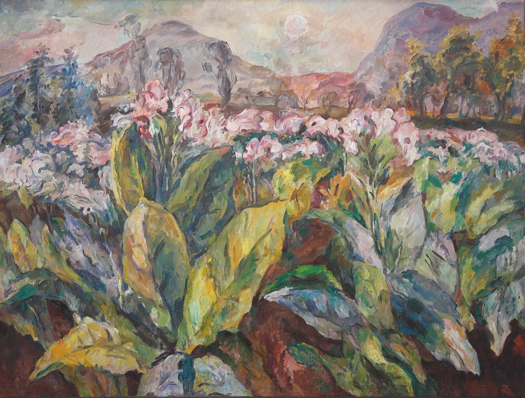 Табак в цвету. 1932