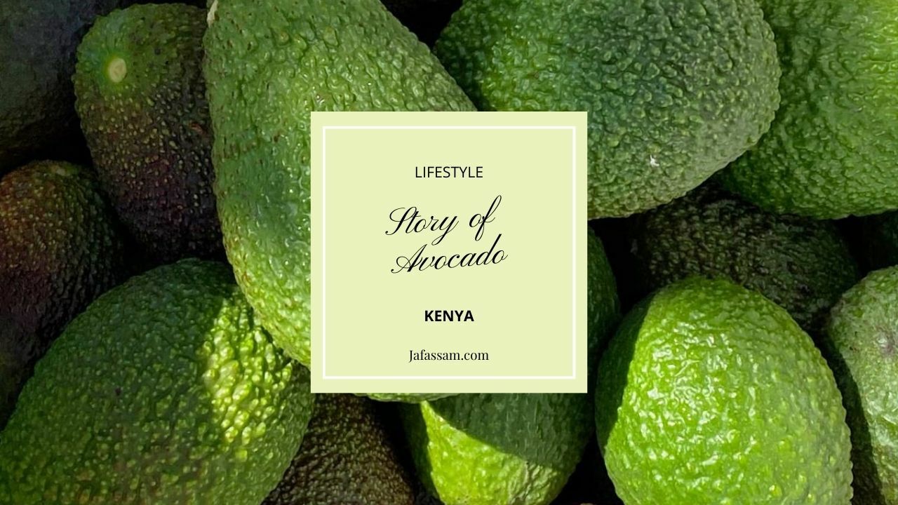Discover the fascinating world of Kenyan avocados and how they have become one of the top exports in the country. This blog post takes you on a journey through the history of avocado farming in Kenya, the sustainable practices employed by small-scale farm