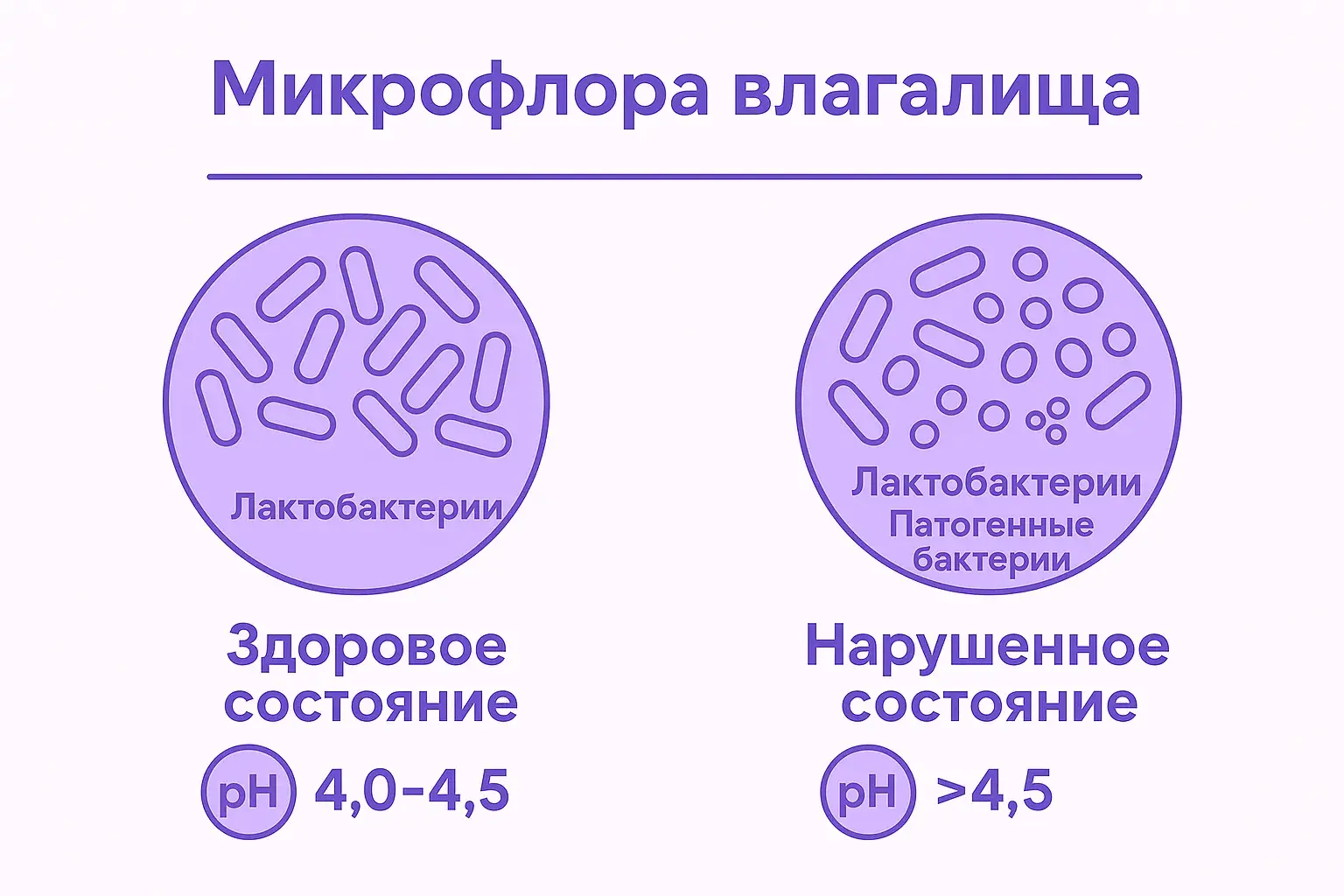 Микрофолора влагалища