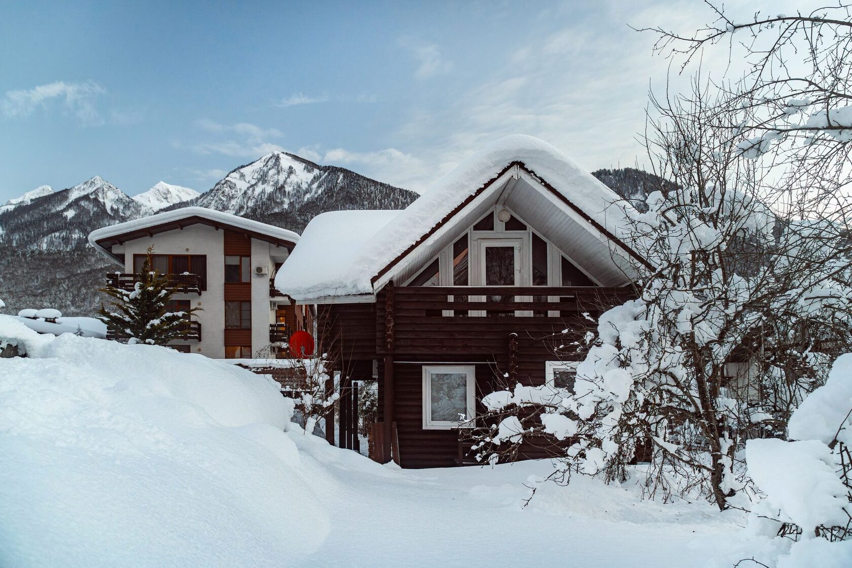 Pine Log House