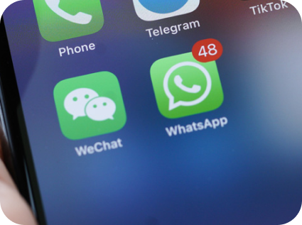 Скидка 20% за отзыв в студии груминга My Dog Studio