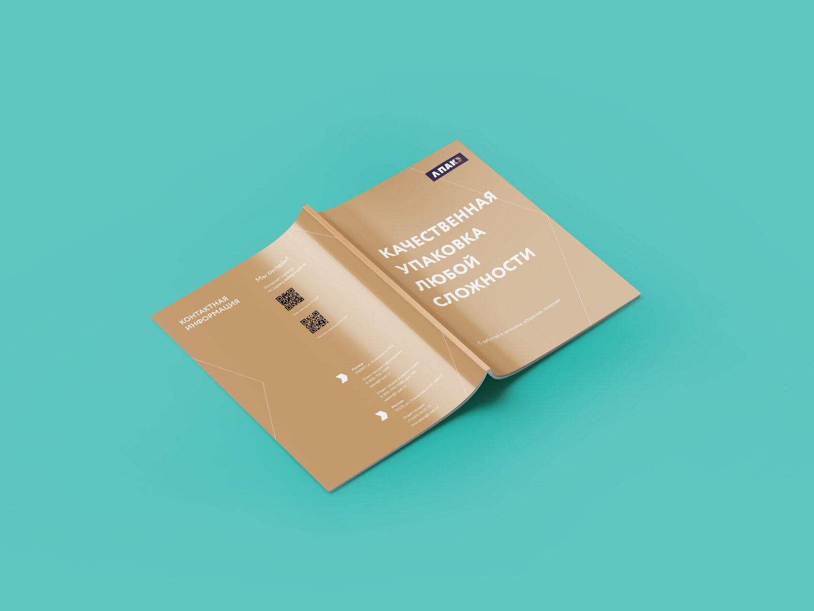 Разработка презентации для производителя гофрокартона