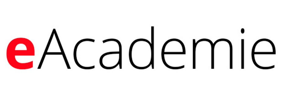 E academy. Е академи. E-Academie.ru.