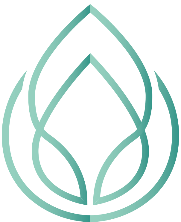 Medical Spa Technology