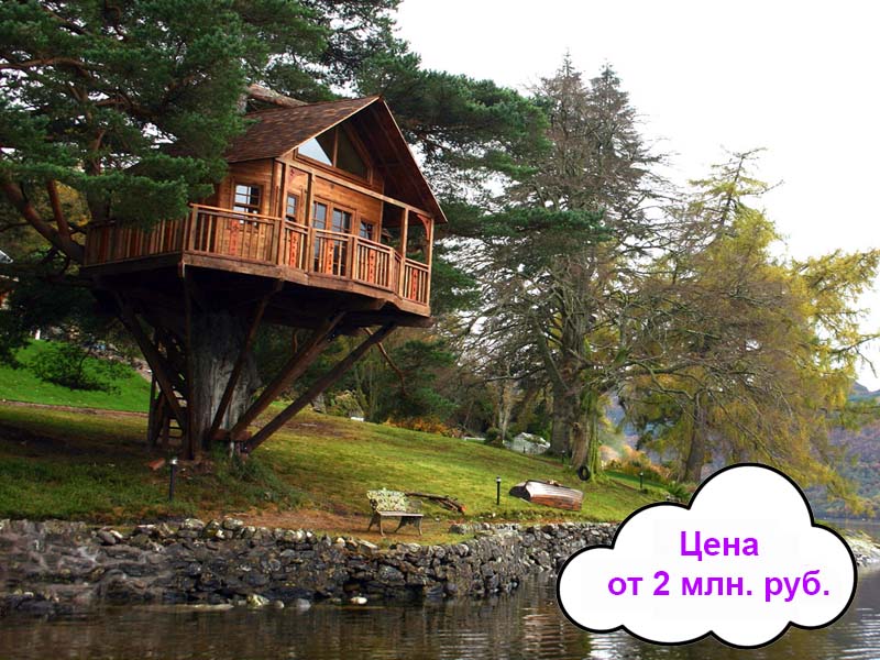 цена домов на деревьях