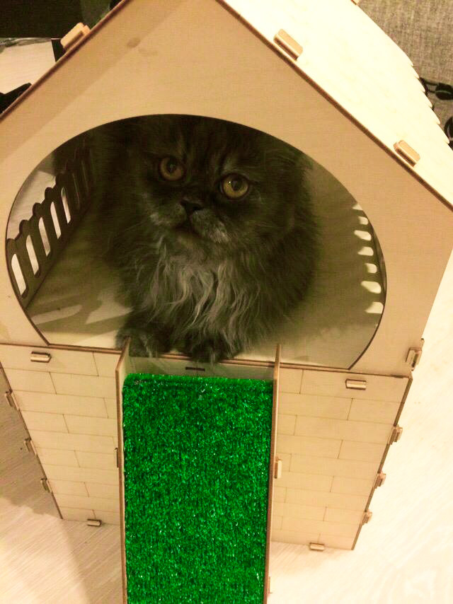 Кошкин дом из фанеры