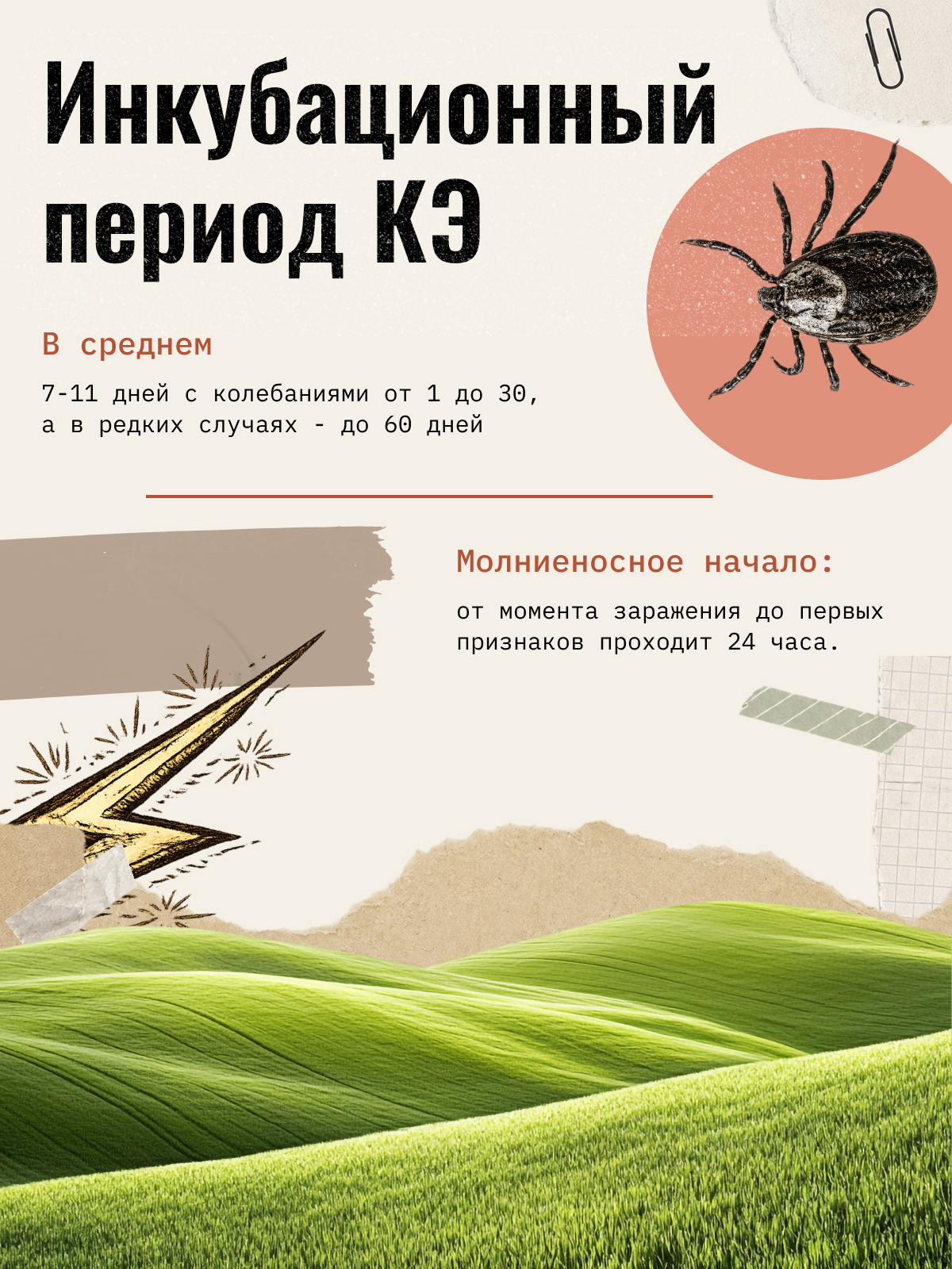 Карточка 9