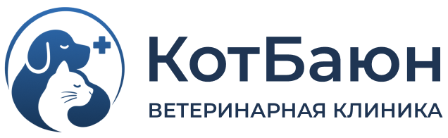 Company