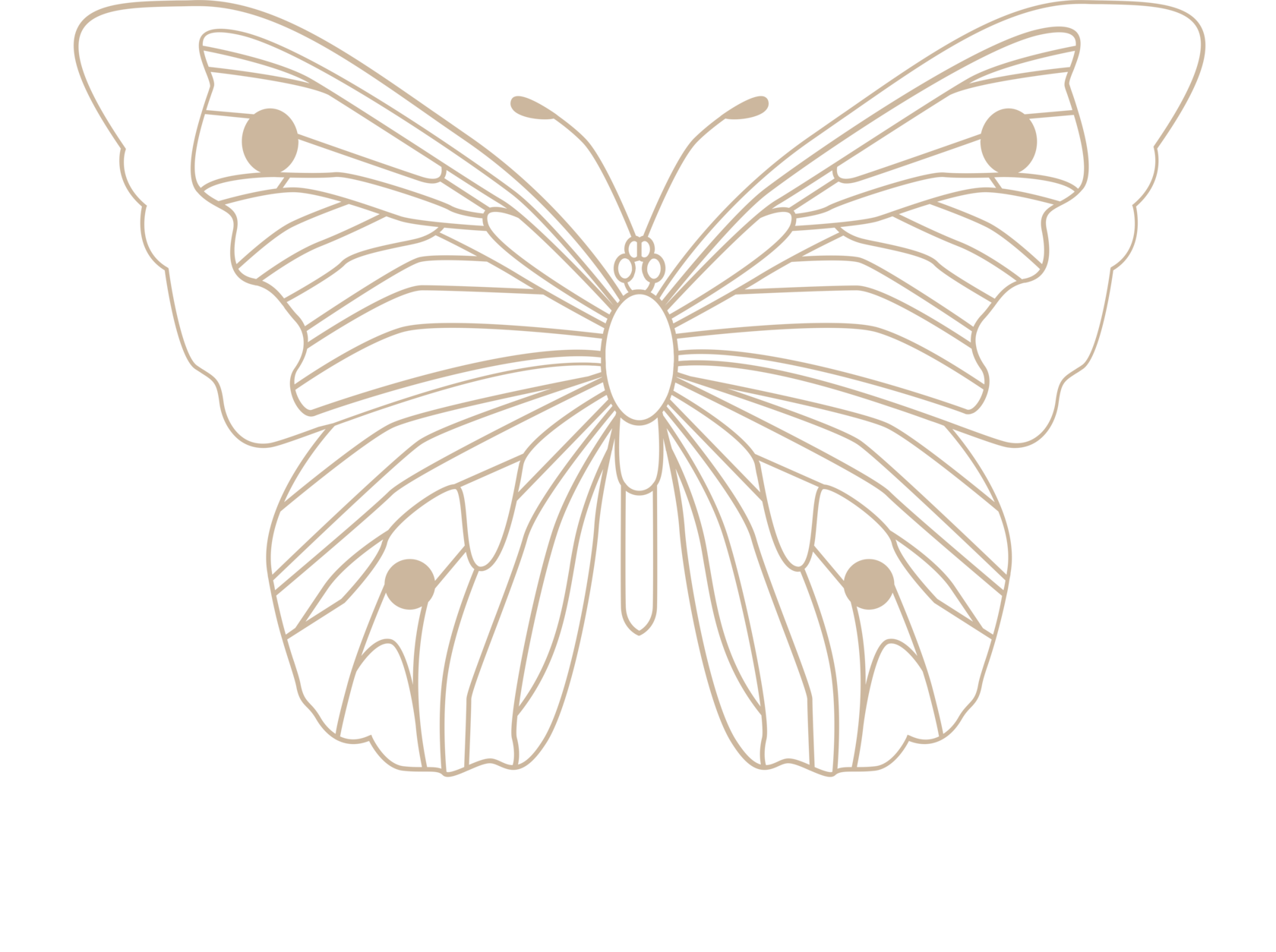 Клиника Ньювилл