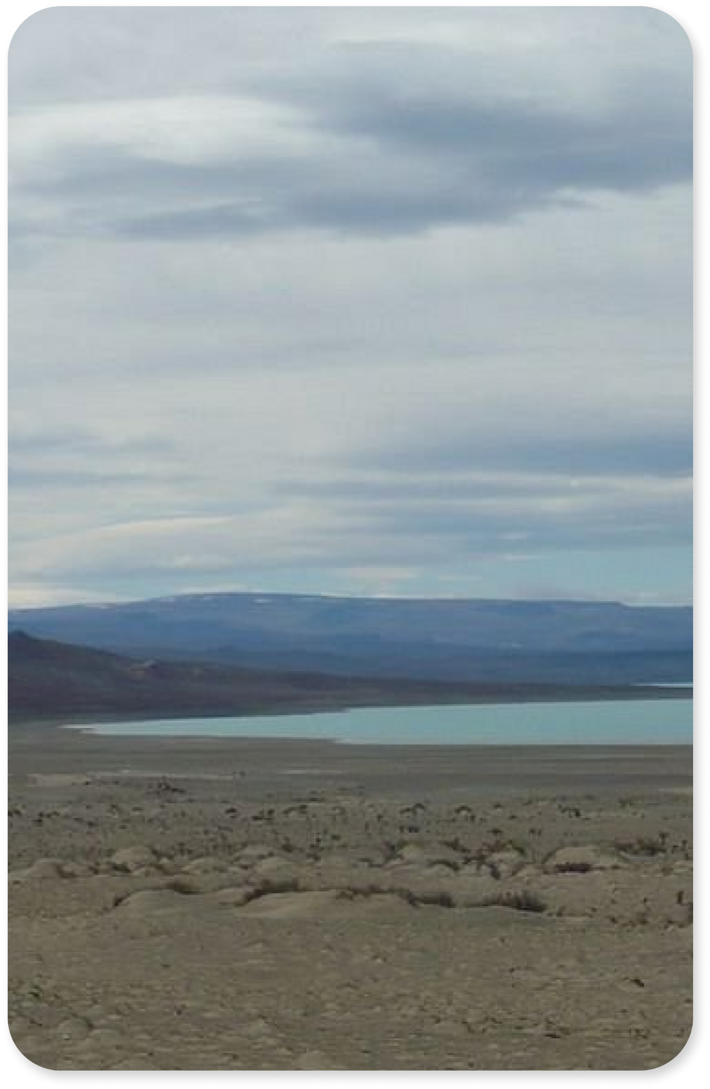 Стрижка овец — производственные процессы