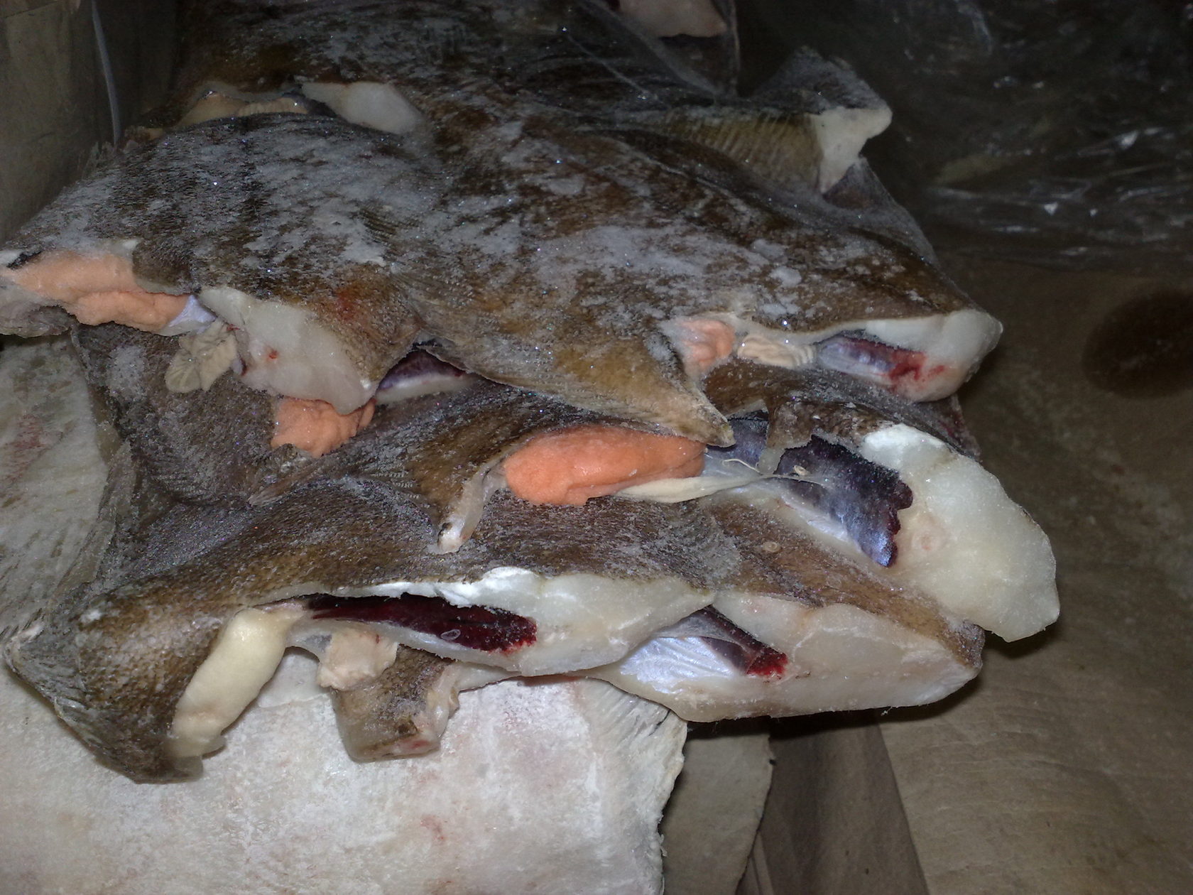 камбала-ерш тара 9