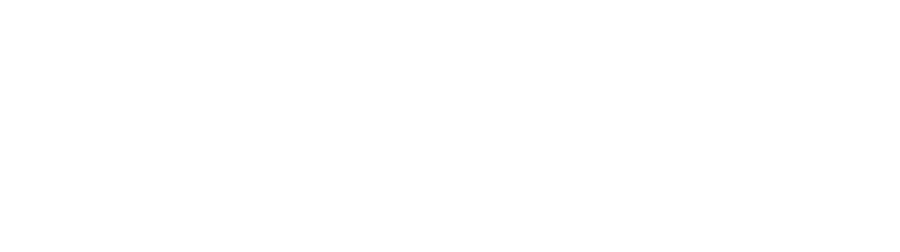 Аудиторская компания