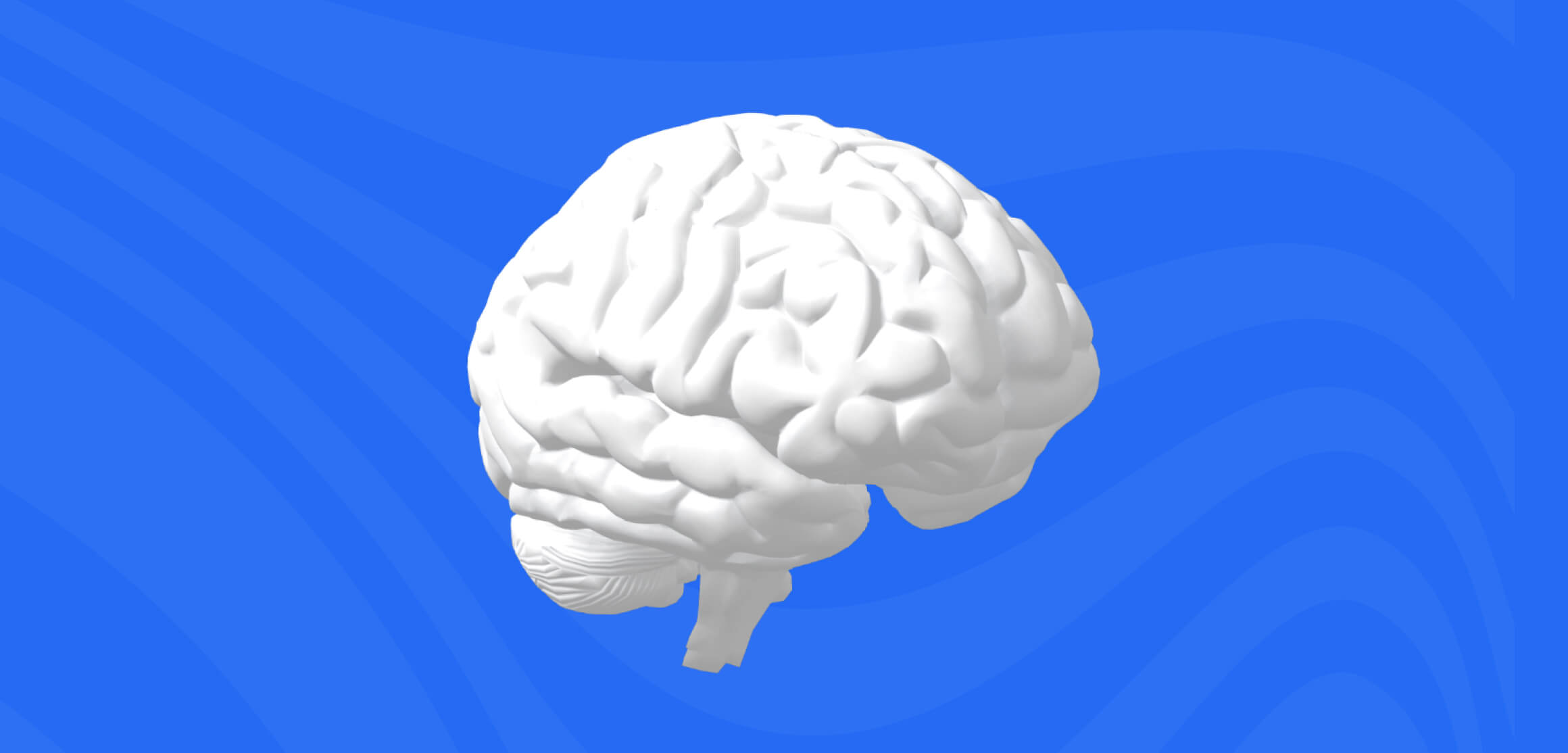 Курс по общей неврологии | Easy Neurology