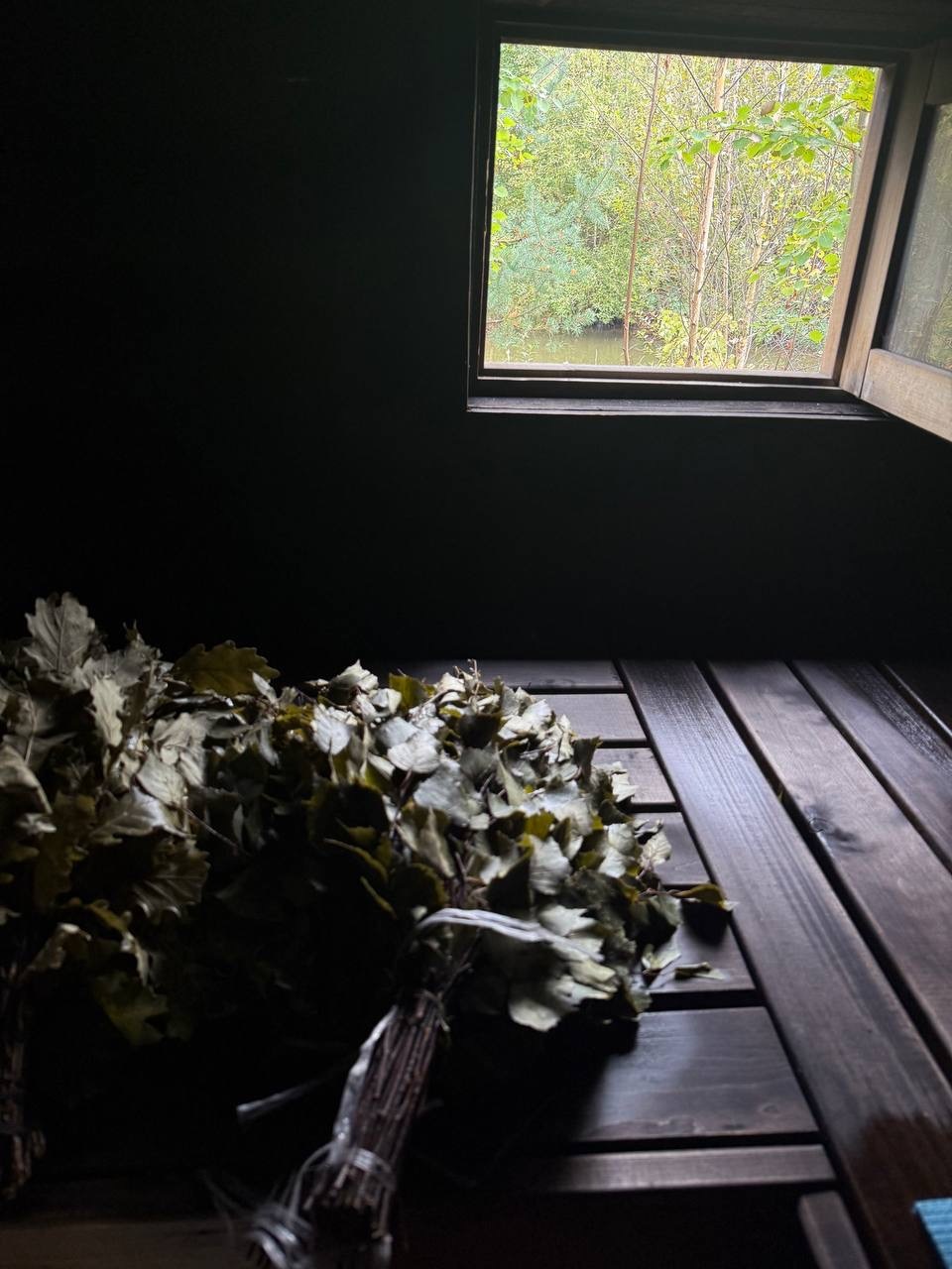 Программа 4 стихии