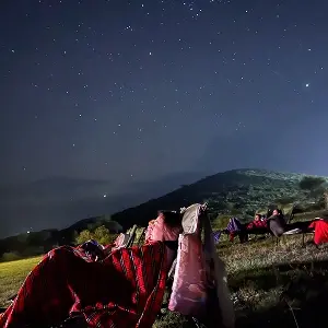 Тур в ЮАР 2024-2025 - Экспедиция к китам