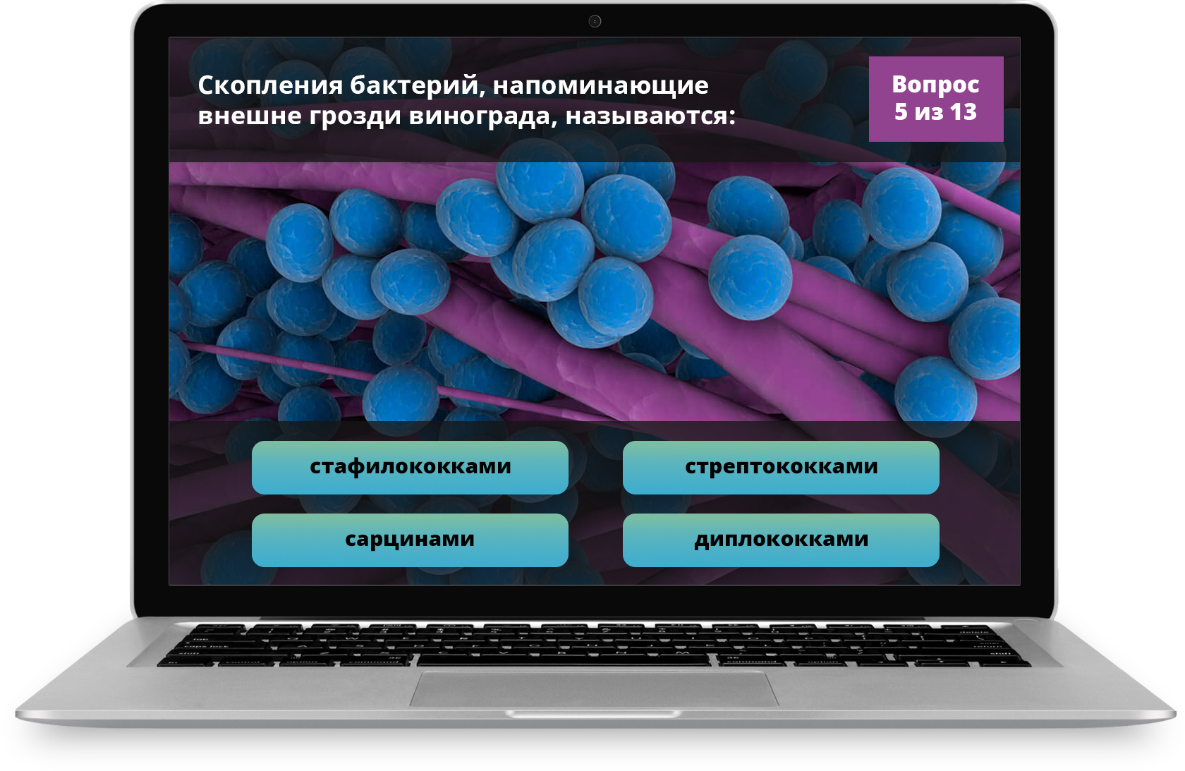 3D-Атлас по микробиологии и вирусологии