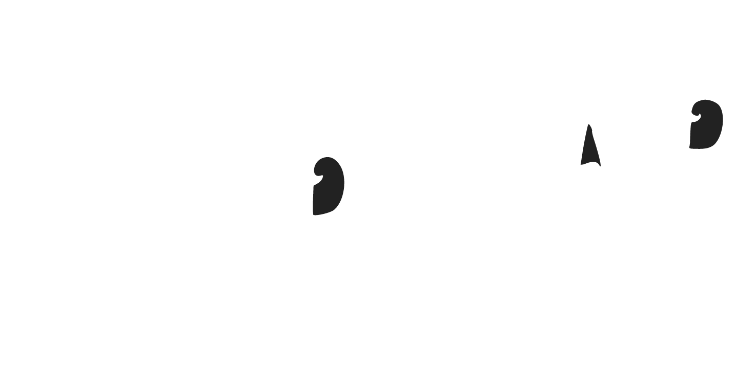 ERICHAIR 