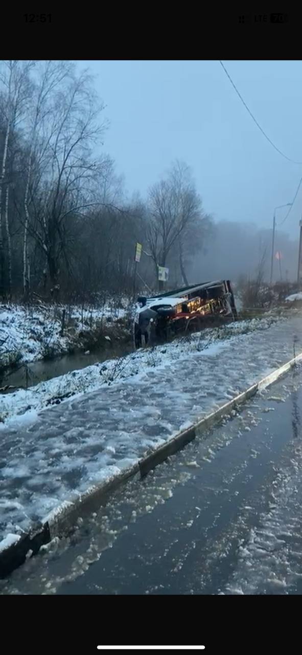 газель в овраге