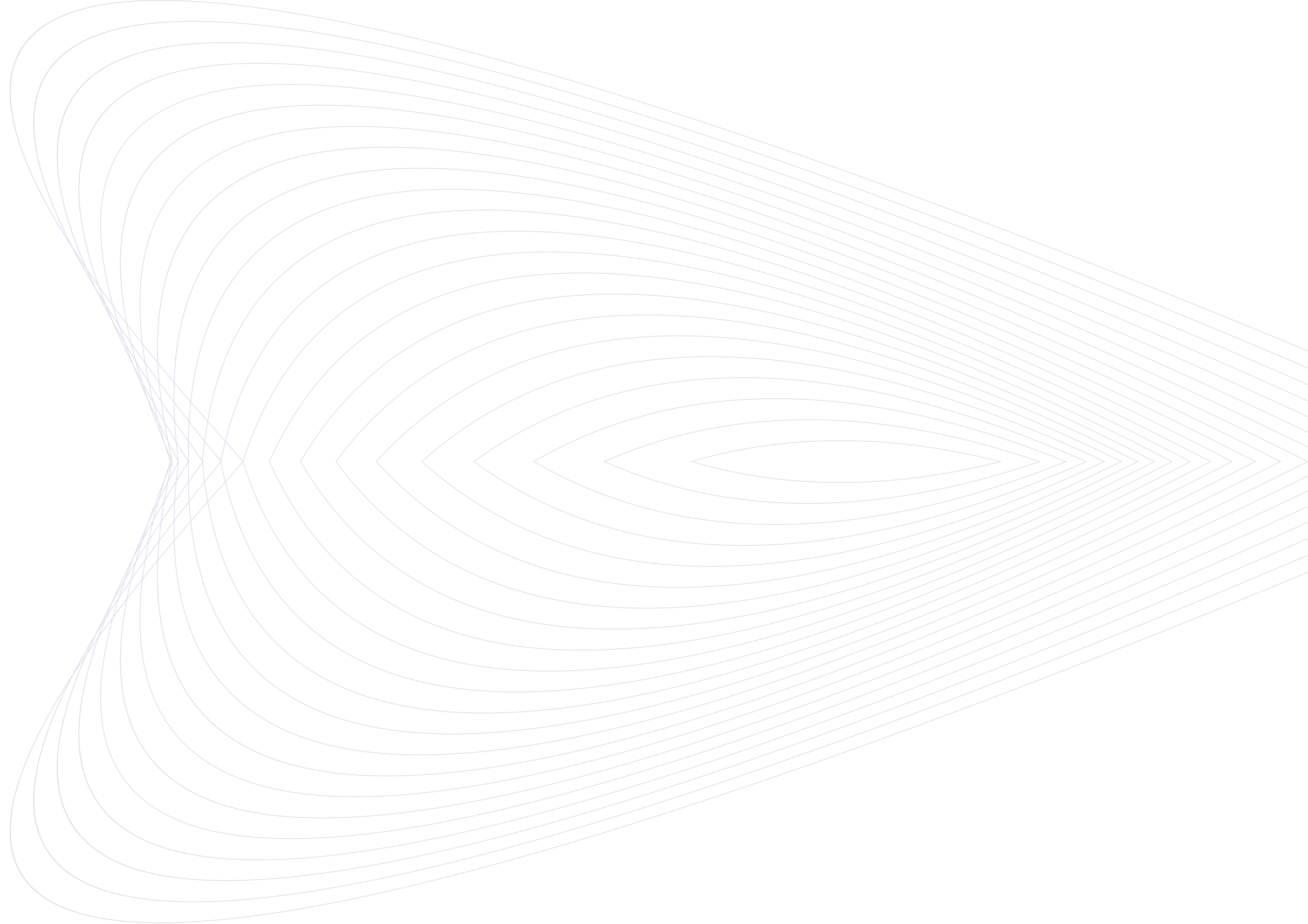 Страница спасибо