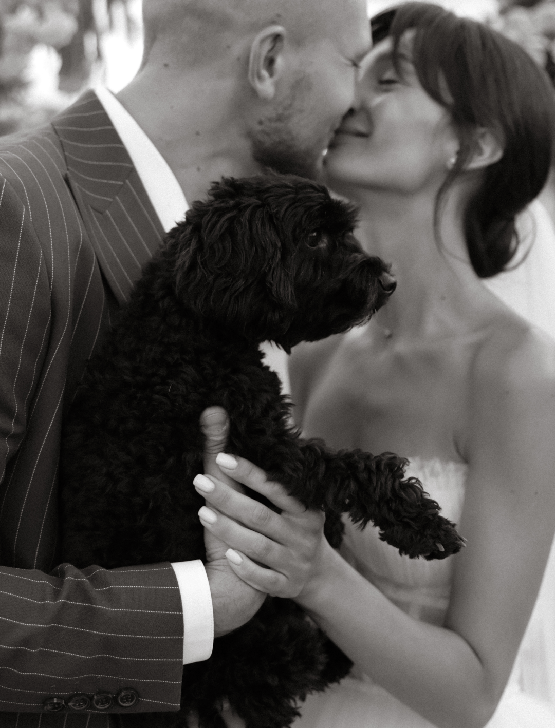 Neponaroshky-wedding-svadba-krym