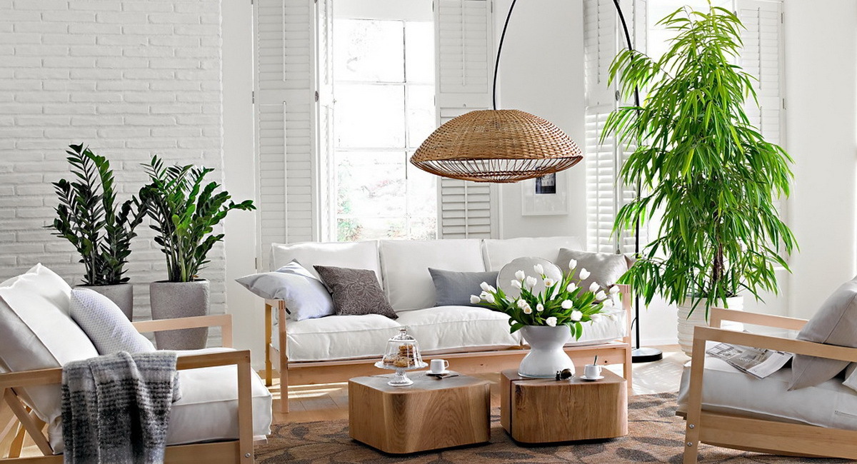 Декоративные комнатные растения и цветы в интерьере квартиры и дома