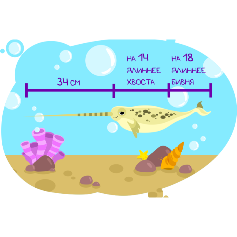 Задача на измерение длины на примере рыбы-пилы