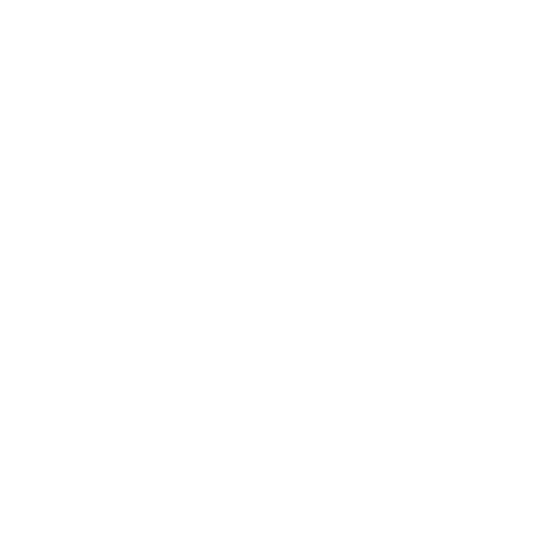 Source of Time logo
