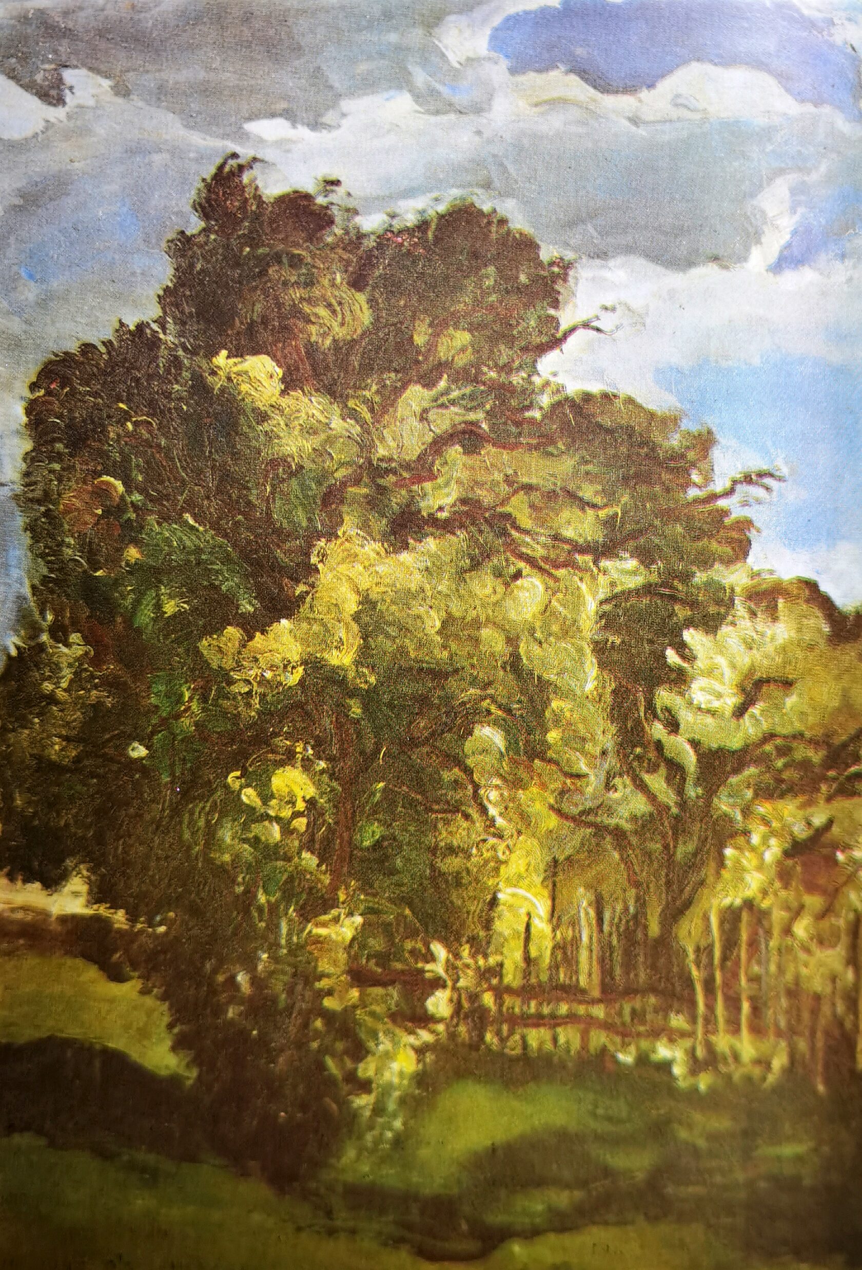 Дерево и небо, 1934 г.