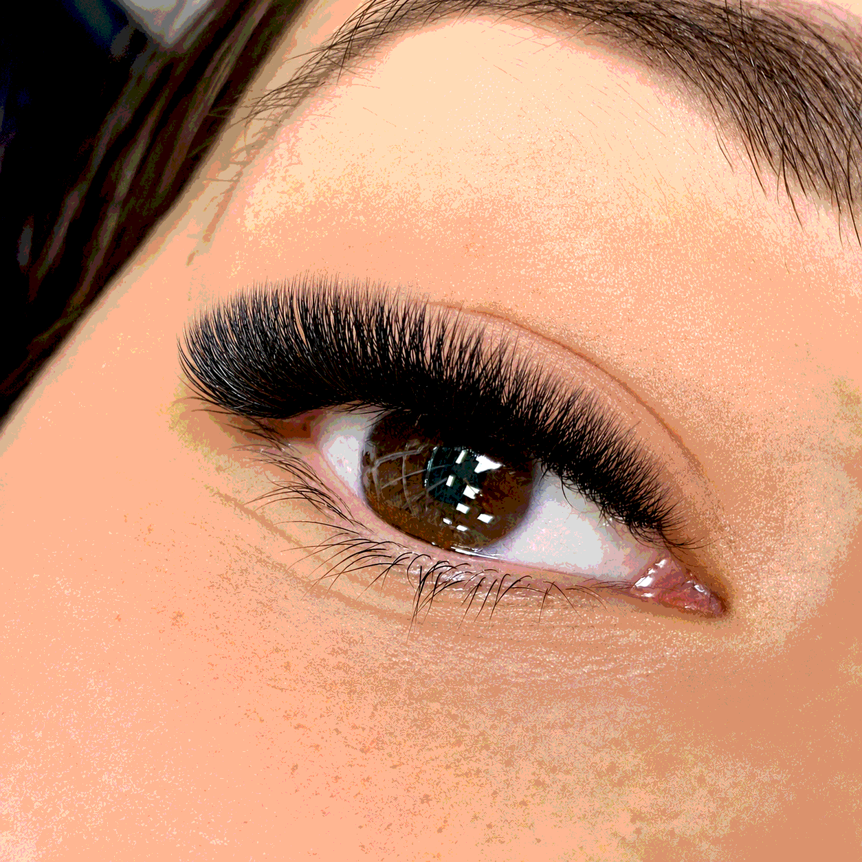 Наращивание ресниц 5D — эффектный объём — Luxury Lashes