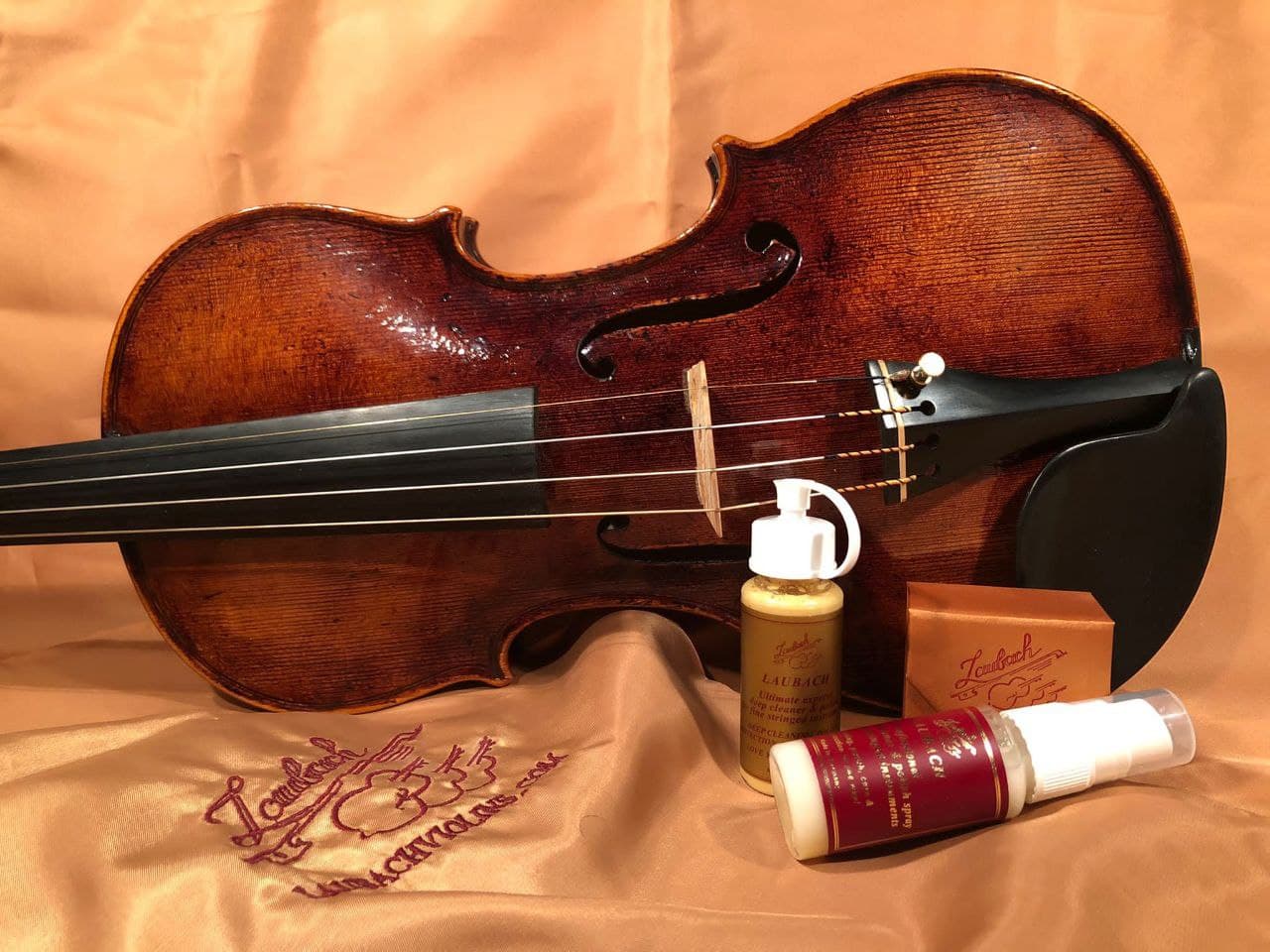 Special prize is violin by Laubach, violin maker was awarded to Pyotr Fedotov