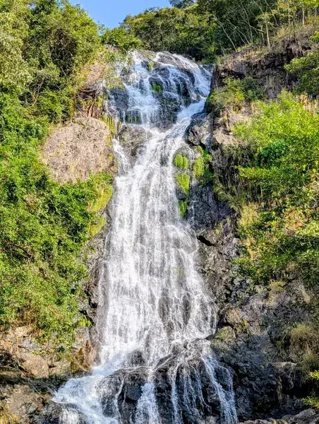 Каскад воды по скале среди зелени