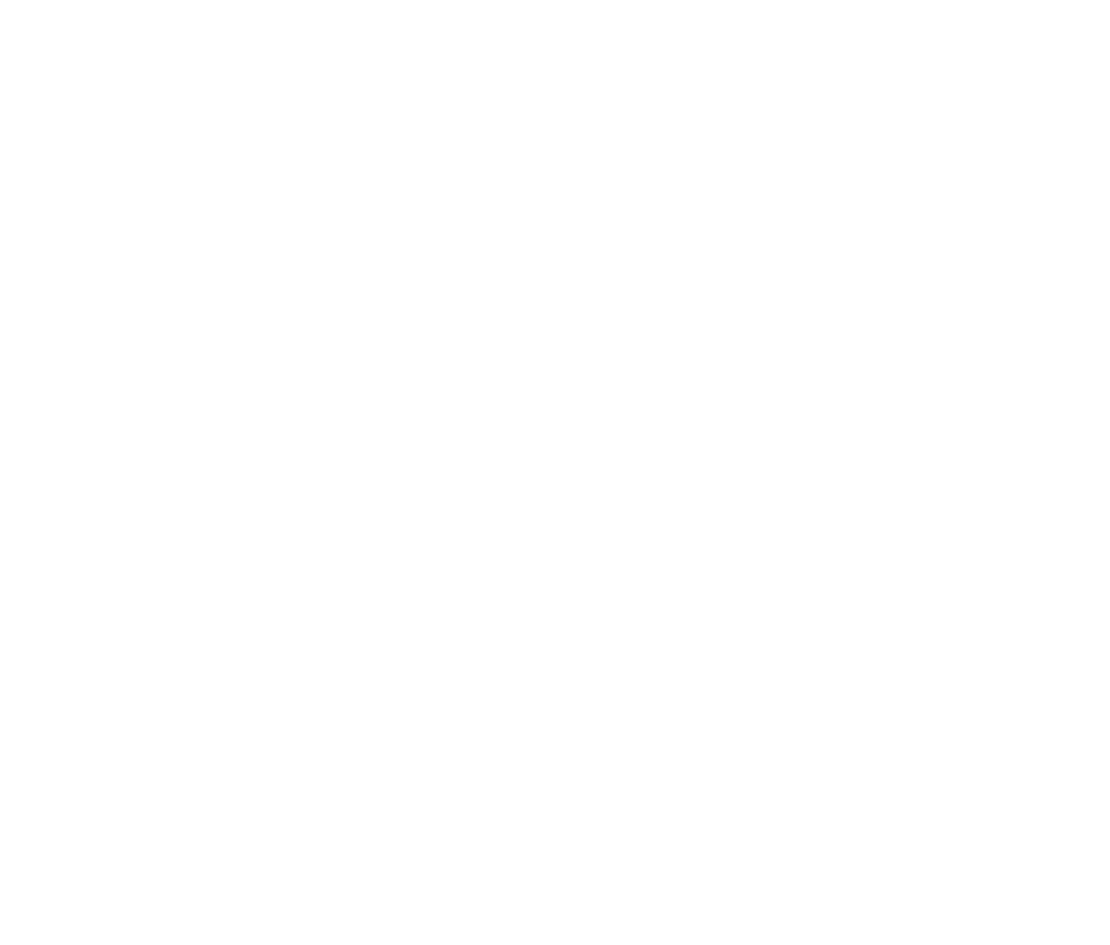 Tailis Store