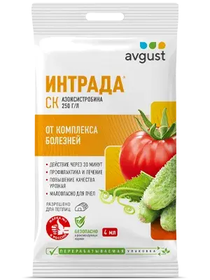 Интрада